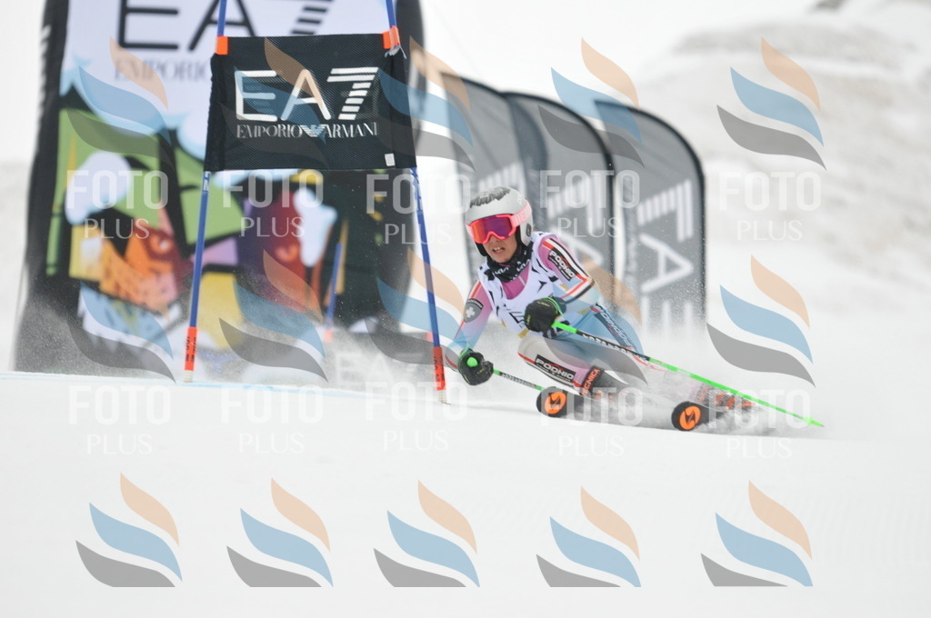 DSC_8125 | holidayphoto