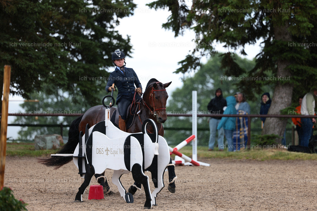 KlasseL_Stoibphotography_CAM23252.JPG | working equitationturnier fotograf videograf stoibphotography marixx film working equitation deutschland reitsport turnierfotografie eventfotografie equestrian events