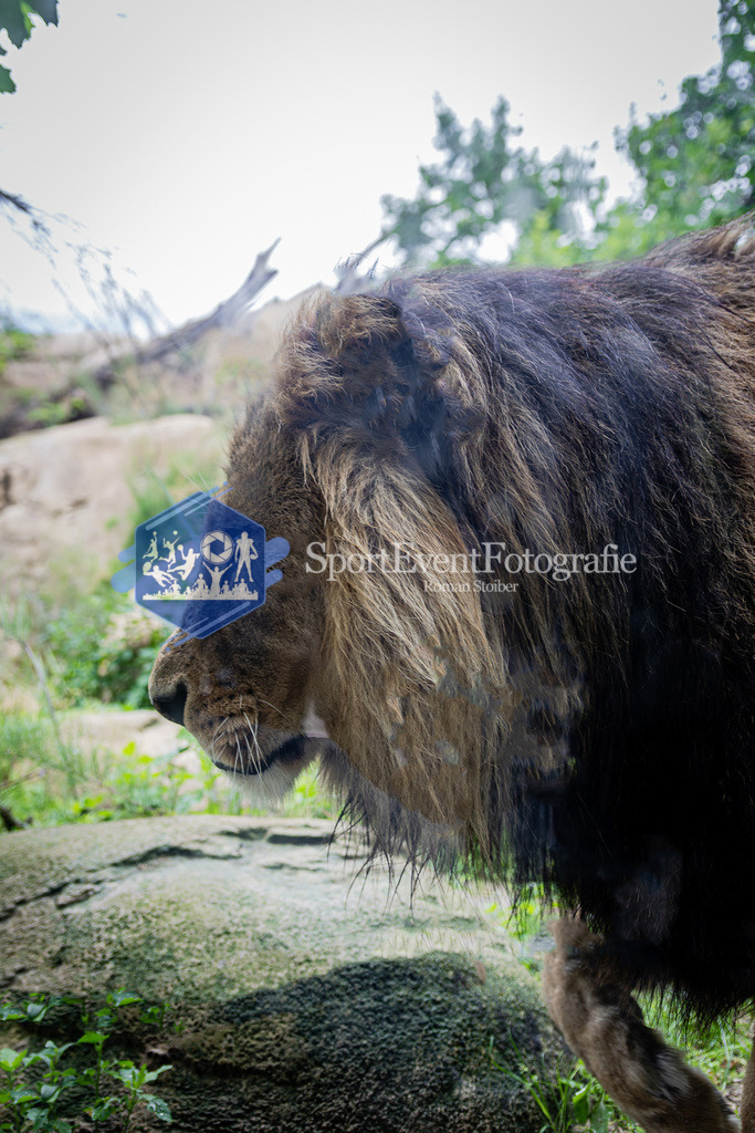 IMAG7884 | SportEventFotografie - Roman Stoiber