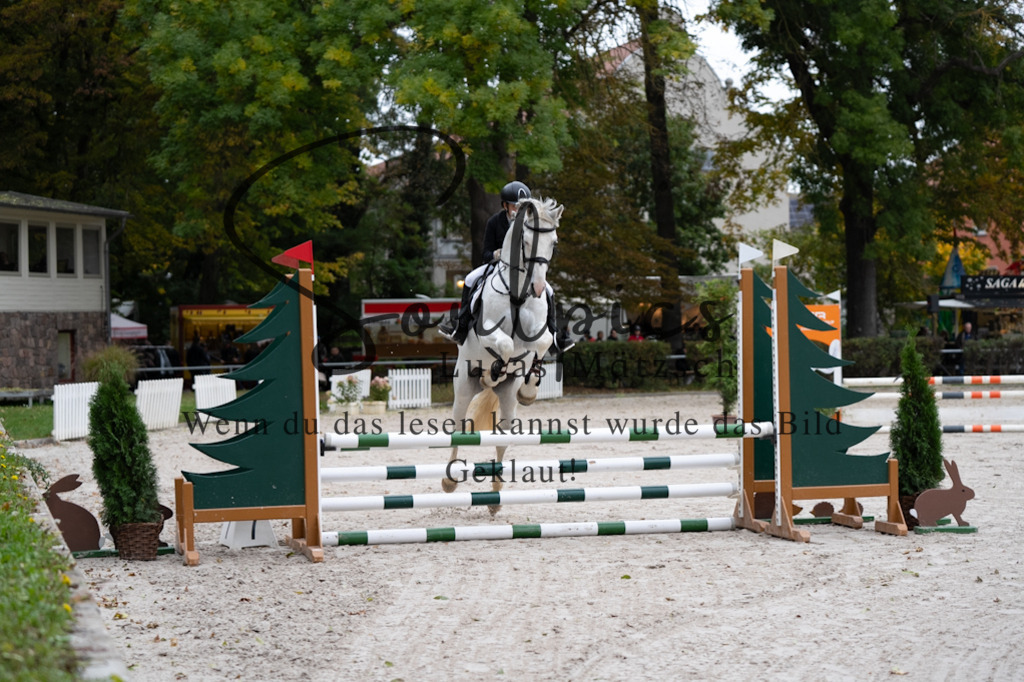 A7V08369 | Pferdefotograf