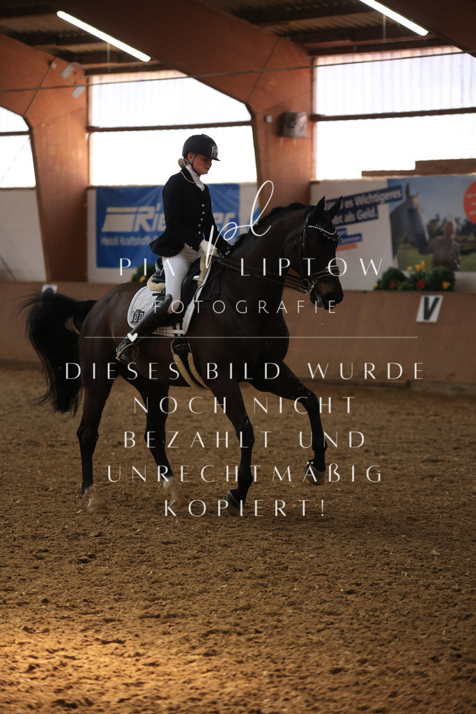 IMGT3918 | pl-fotografie