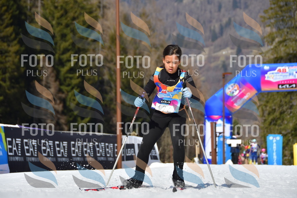 _DSC0213 | holidayphoto