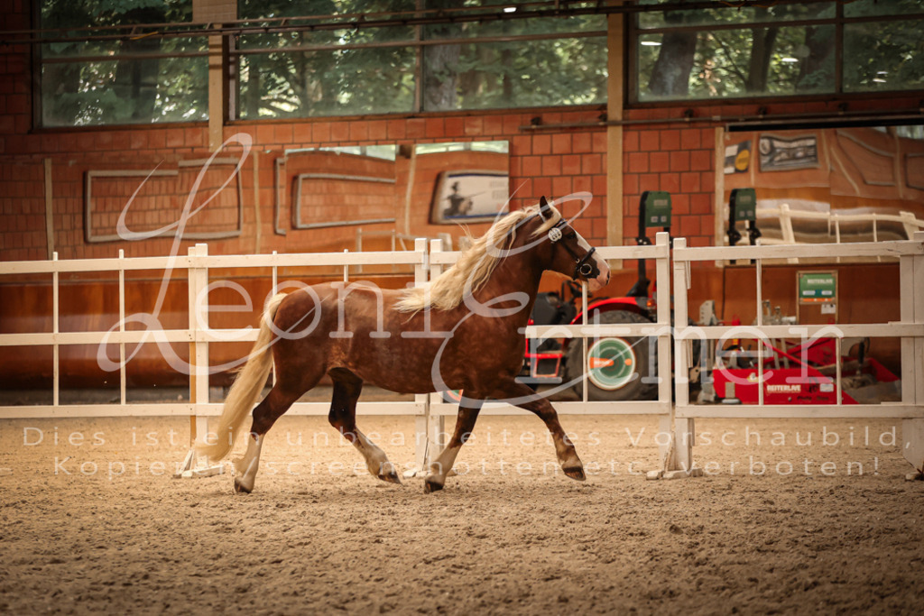 SaFL00462 | Leoni Ertmer Photography - Realisiert mit Pictrs.com