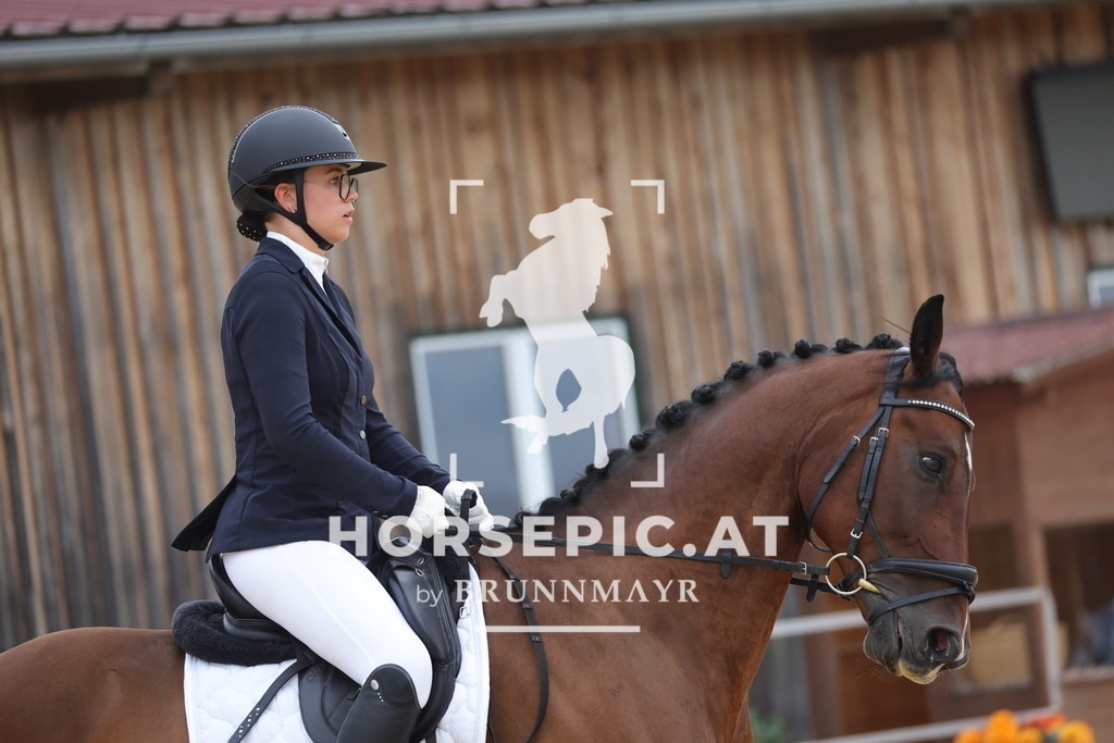 0P6A7878 | Willkommen bei Brunnmayr - Design & Fotografie – Ihrem Spezialisten für Reitturniere und Pferdeveranstaltungen in Oberösterreich, Salzburg und Bayern! Seit über 17 Jahren sind wir leidenschaftlich dabei.