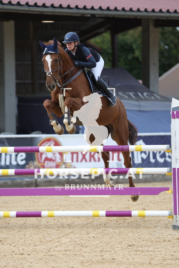 0P6A8860 | Willkommen bei Brunnmayr - Design & Fotografie – Ihrem Spezialisten für Reitturniere und Pferdeveranstaltungen in Oberösterreich, Salzburg und Bayern! Seit über 17 Jahren sind wir leidenschaftlich dabei.