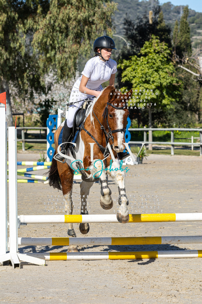 IMG_8396 | s-jay-photography - Realisiert mit Pictrs.com