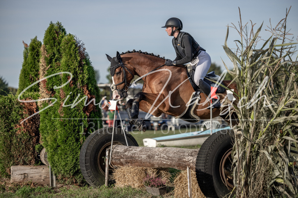 20250907-_3LI8444 | Tierfotografie Pferde, Hunde, Katzen, Haustiere.
Turnierfotografie Reitturniere, Reiten, Springreiten, Dressur in Hanau, dem Main-Kinzig-Kreis und dem Rhein-Main- Gebiet um Frankfurt