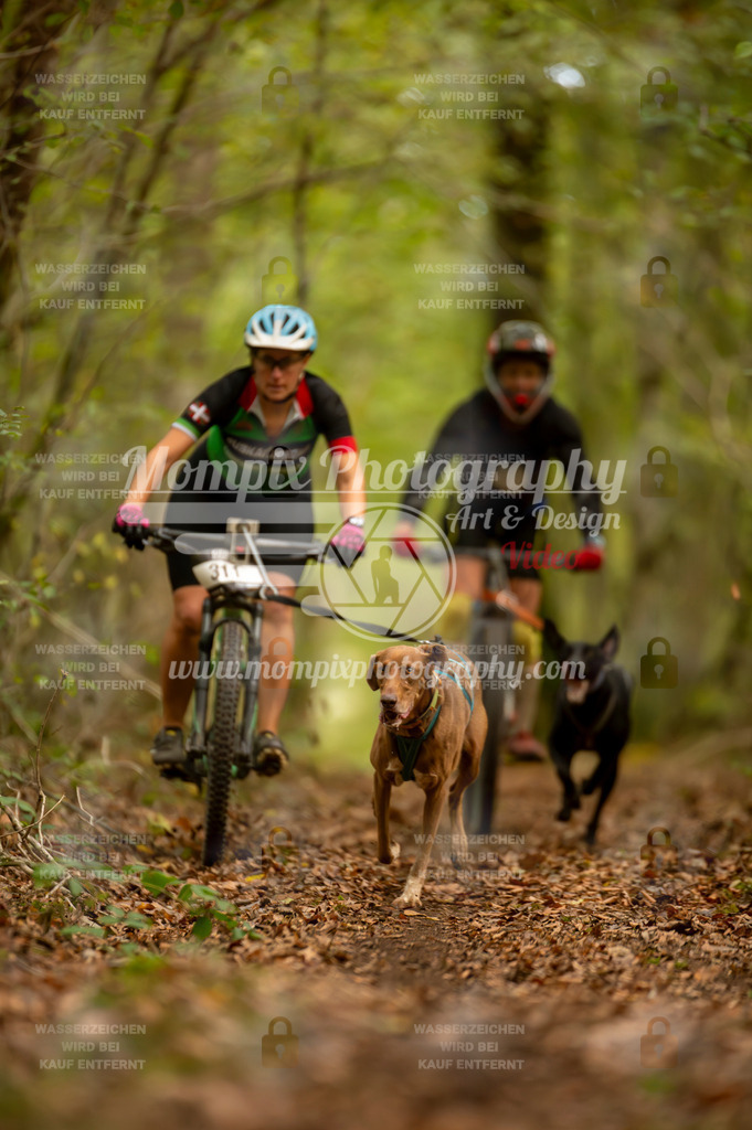 TSB_2023_E1_Bike-61 | mompixphotography