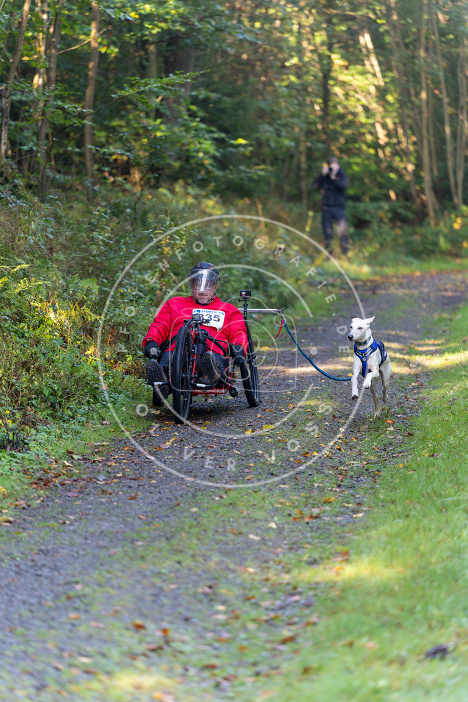 Pfotenfotografie_DV3A7917 | Hundefotografie, Tierfotograf, Pfotenfotografie, Fotoshooting Hund, Hunde Portrait, Hundesport, Hundeportraits, Heideshooting, Hunde, Sportfotograf, Hundefotograf, Turnierhundsport, THS,  - Realisiert mit Pictrs.com