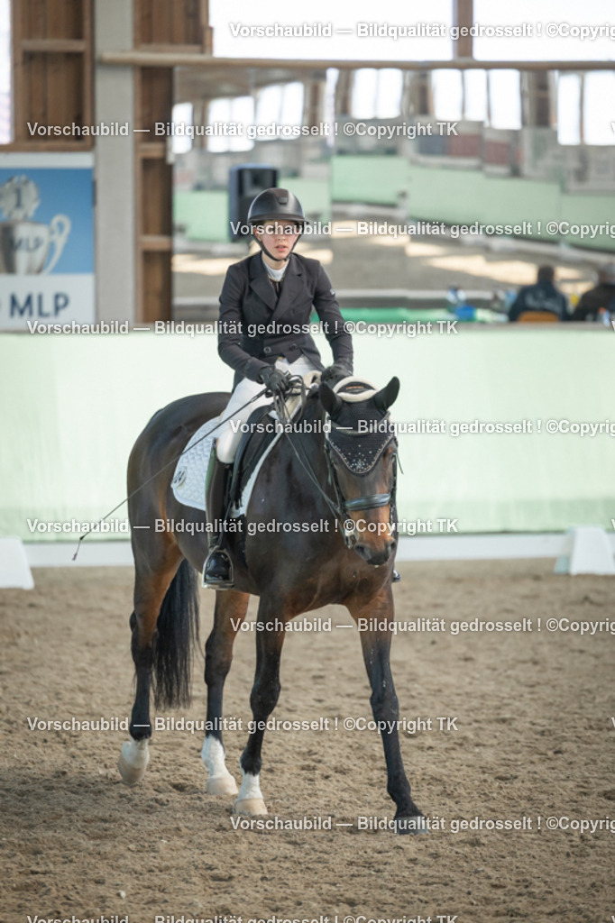 _D5A2816 | Emotionale Pferde- & People-Fotografie rund um Heidelberg, Leimen & Umgebung. Natürliche Fotos von Pferd, Mensch & Familie. Jetzt Termin sichern!