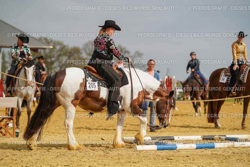 DSC02093 | Pferdegrafie