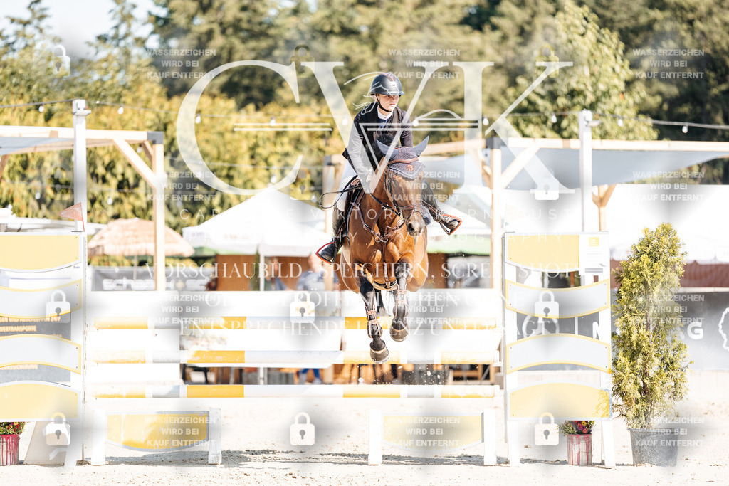 CK902699 | Turnierfotografie Pferdefotografie Trier Rheinland-Pfalz Pferdesport Reitsport Tierfotografie Sportfotografie Pferdevideo Pferdevideografie Equestrianvideography equestrianphotography  - Realisiert mit Pictrs.com