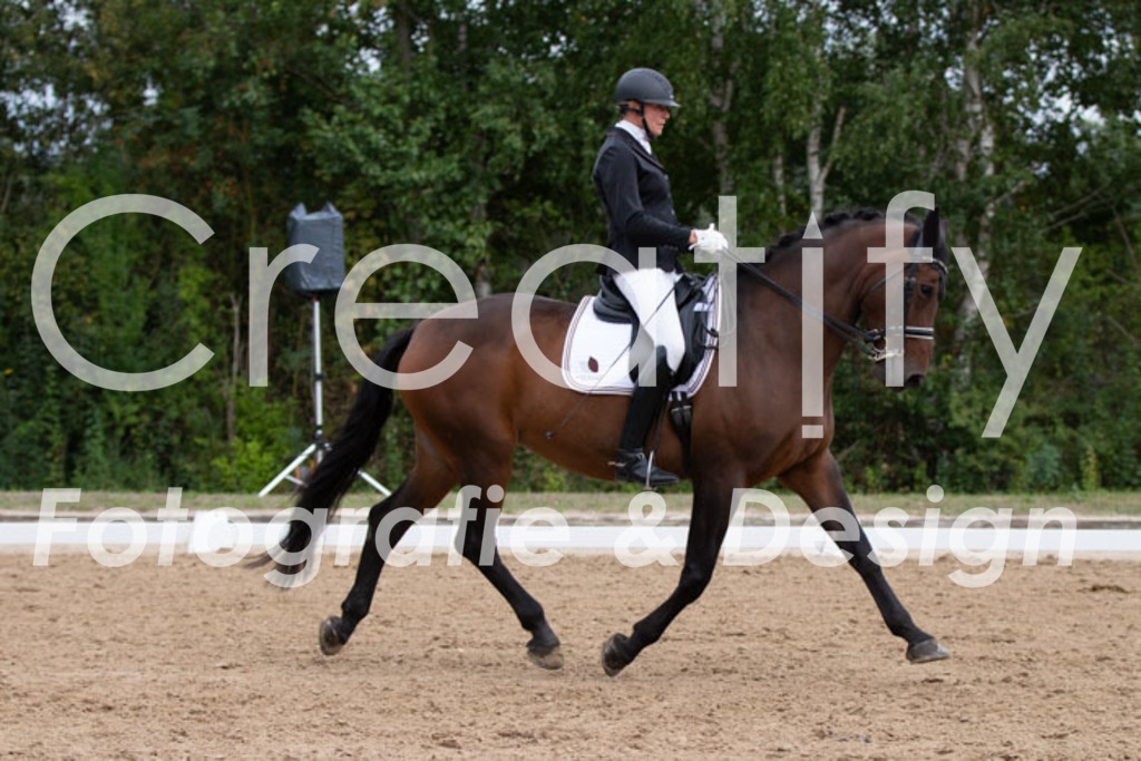 IMG_7768 | Creatify Fotografie