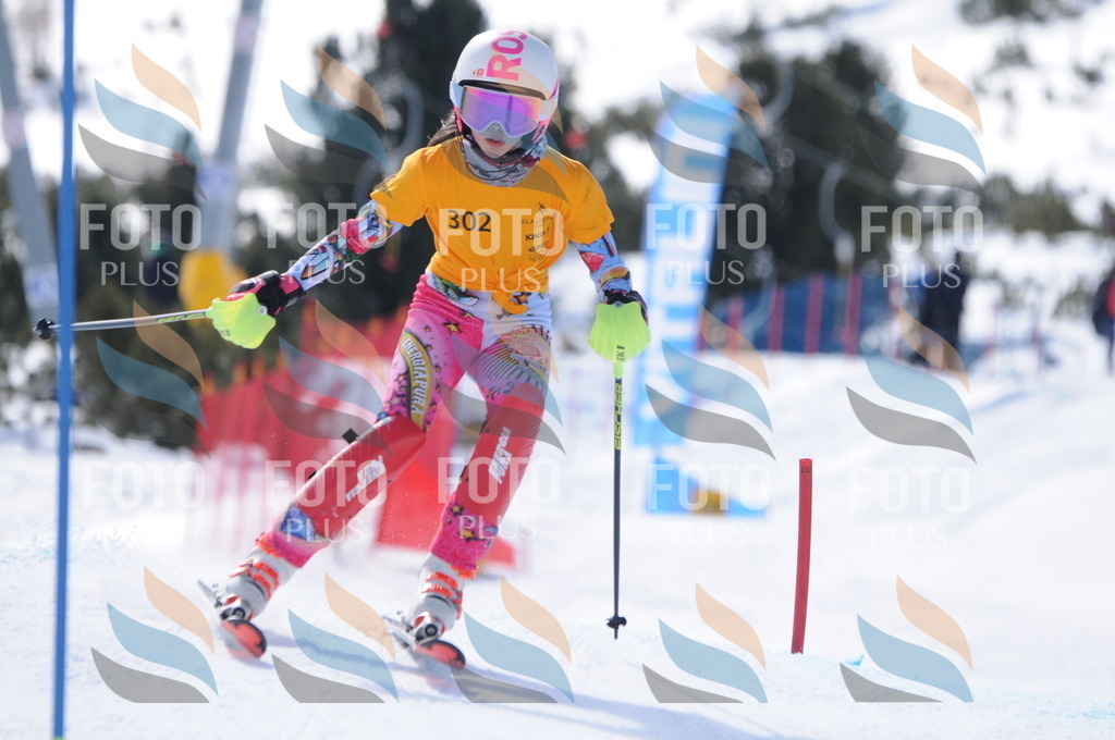 C9138 | holidayphoto