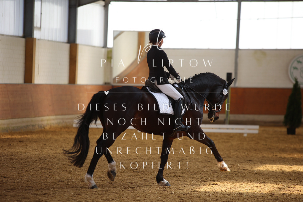 IMGT4518 | pl-fotografie