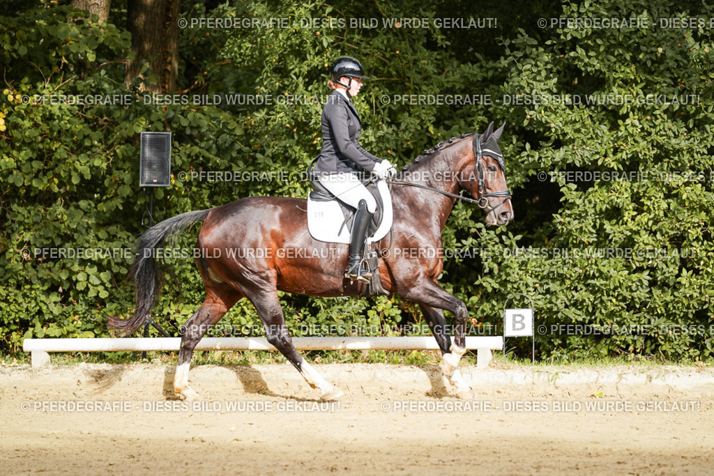 DSC09638 | Pferdegrafie