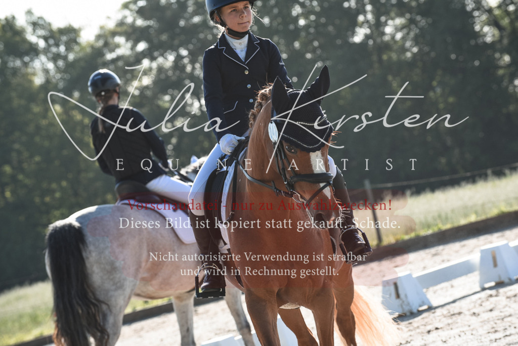 20230518_JK-Röhrsdorf-09-0223 | Pferde- und Turnierfotografie in Westsachsen. Pferdeportraits, Auftragszeichnungen und intuitive Kunst.