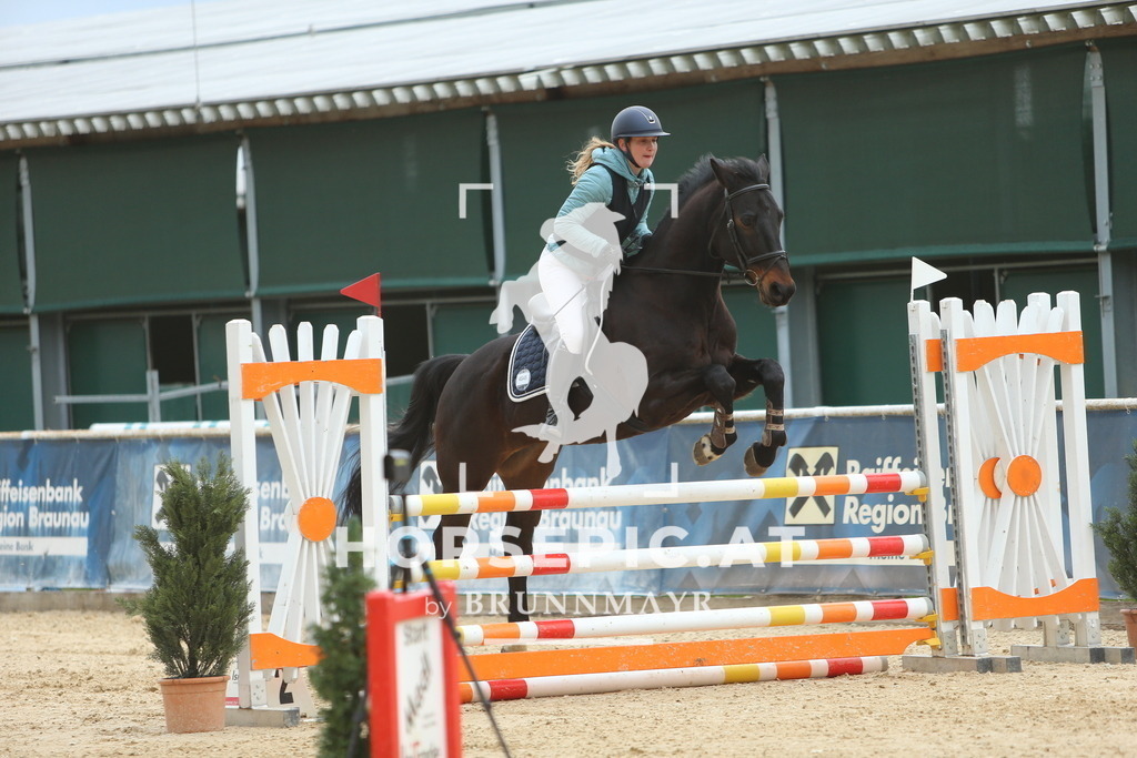 DL2Q6689 | Willkommen bei Brunnmayr - Design & Fotografie – Ihrem Spezialisten für Reitturniere und Pferdeveranstaltungen in Oberösterreich, Salzburg und Bayern! Seit über 17 Jahren sind wir leidenschaftlich dabei.