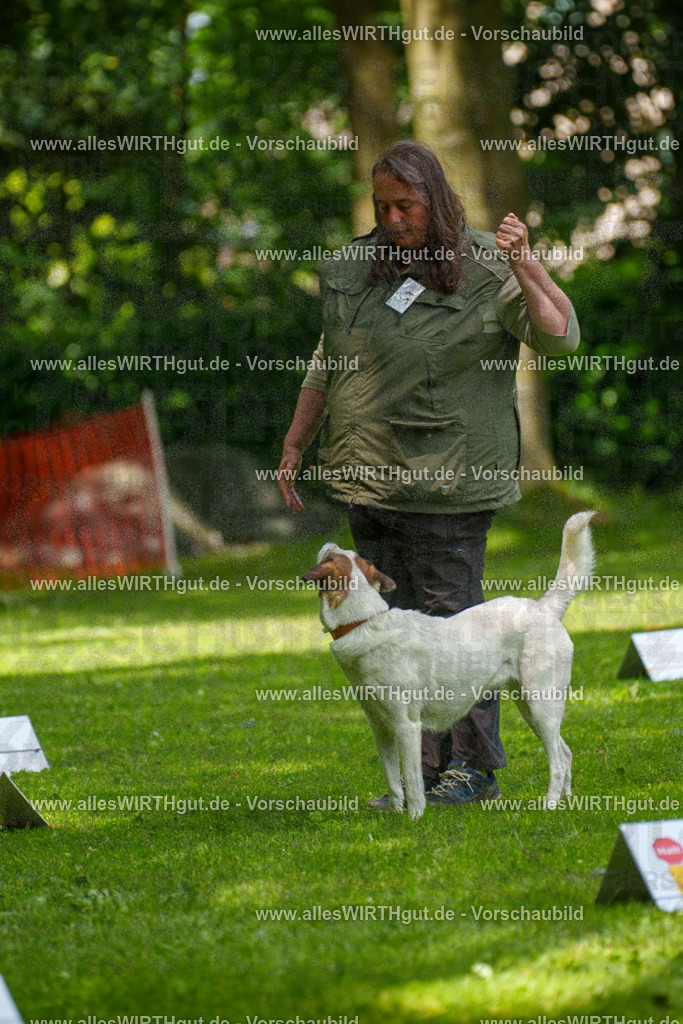 @allesWIRTHgut_Tierfotografie - www.allesWIRTHgut.de - 7R504335 | Professionelle Tierfotografie in Mönchengladbach von Daniel Wirth (allesWIRTHgut). Liebevolle & natürliche Bilder von Hunden & Katzen für unvergessliche Erinnerungen.
