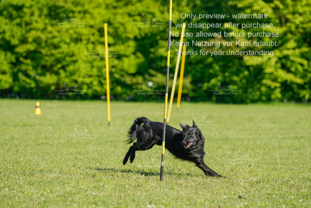 Sa_CSC-416 | stephaniefillaphotographie - Realisiert mit Pictrs.com