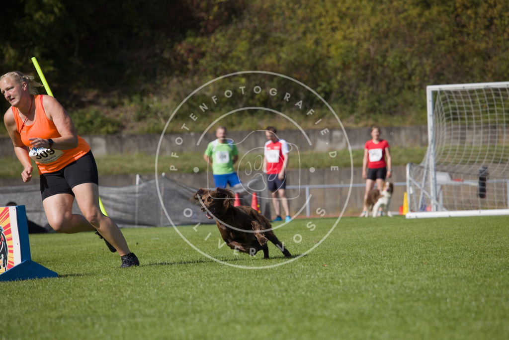 0L8A8110 | Hundefotografie, Tierfotograf, Pfotenfotografie, Fotoshooting Hund, Hunde Portrait, Hundesport, Hundeportraits, Heideshooting, Hunde, Sportfotograf, Hundefotograf, Turnierhundsport, THS,  - Realisiert mit Pictrs.com