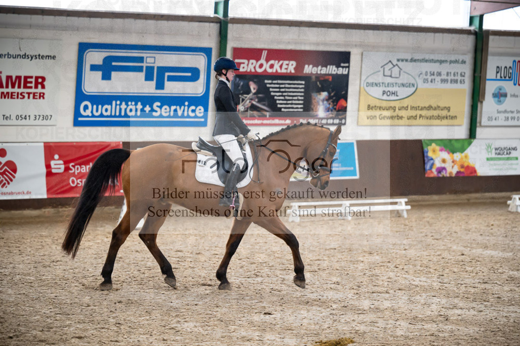 Hallenreittunier Voxtrup 2023 | Entdecke hochwertige Reitturnierfotos von Foto Oger. Professionell, emotional und authentisch – jetzt Lieblingsmomente im Shop bestellen.Deutschlandweite Turnierfotografie. - Realisiert mit Pictrs.com