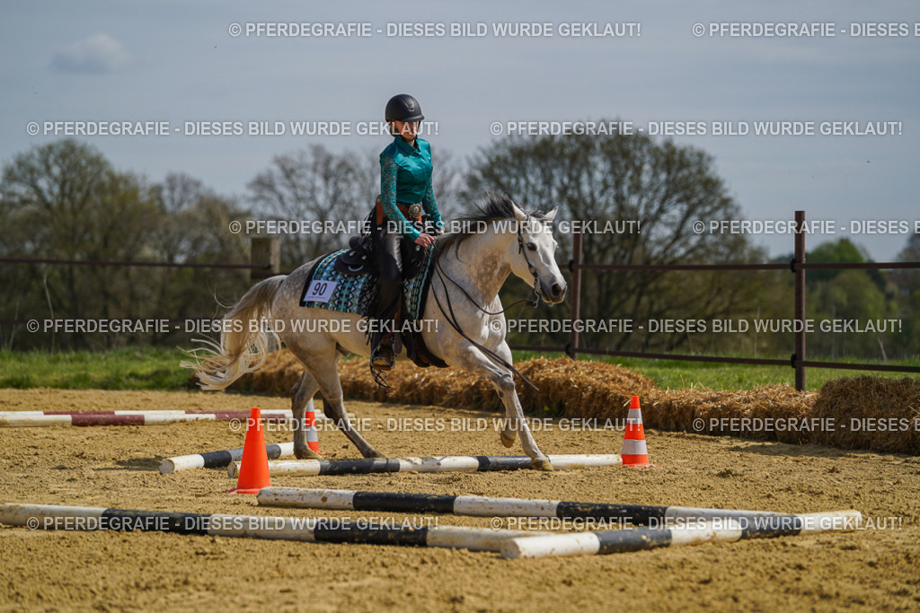 DSC04600 | Pferdegrafie