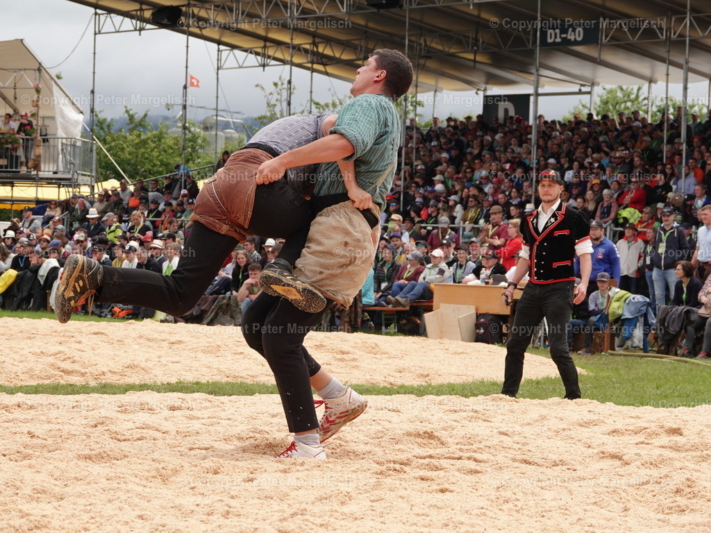 DSC08032 | Schwingen - Realisiert mit Pictrs.com