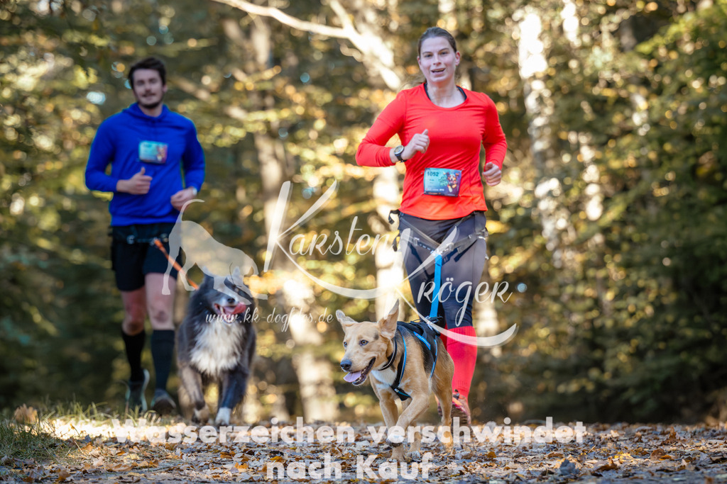 1017_ZZ99614 | kk-dogfotos