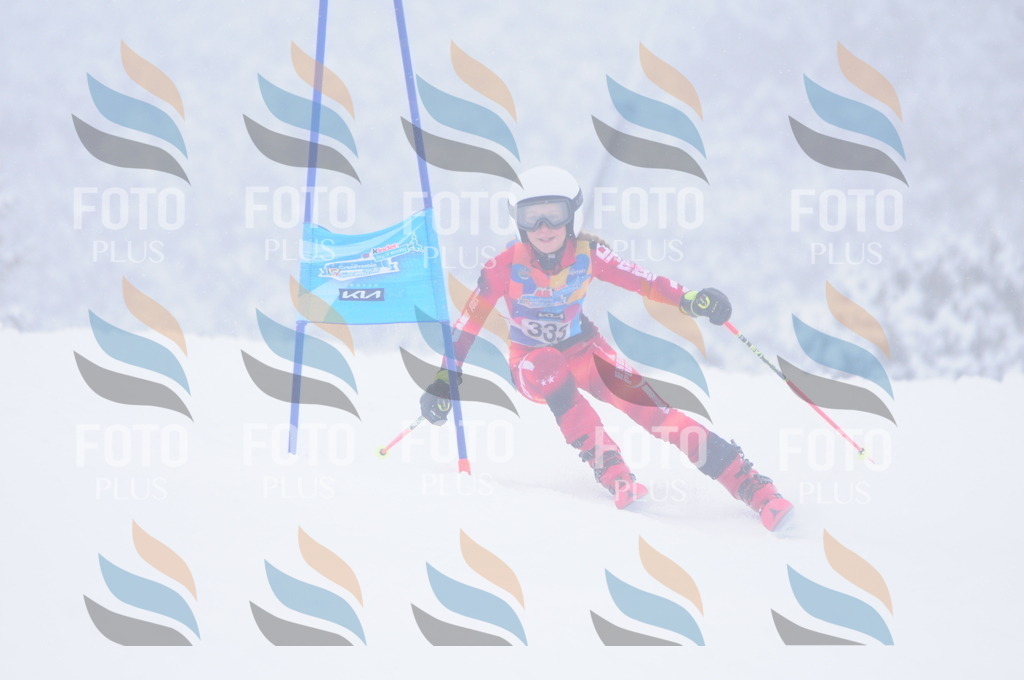 C3561 | holidayphoto