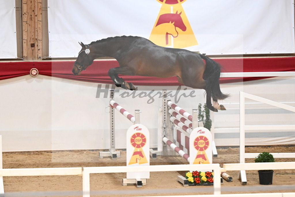 Kat.-Nr. 25 v. Jasper_Stabhalterhof_3261779 | hf-fotografie - Realisiert mit Pictrs.com