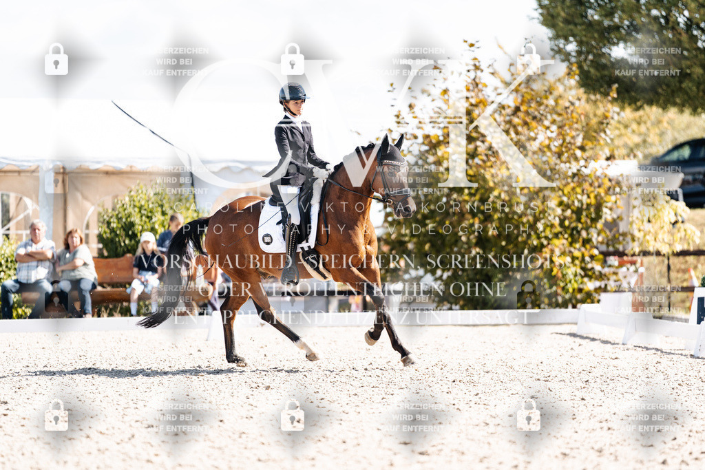 CK902714 | Turnierfotografie Pferdefotografie Trier Rheinland-Pfalz Pferdesport Reitsport Tierfotografie Sportfotografie Pferdevideo Pferdevideografie Equestrianvideography equestrianphotography  - Realisiert mit Pictrs.com