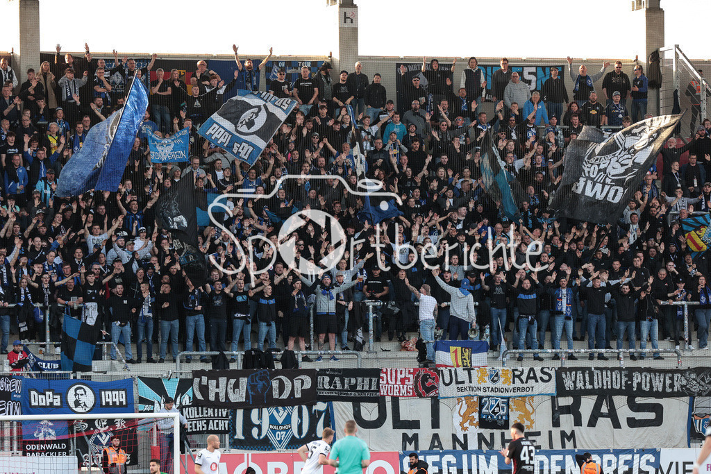 FC Ingolstadt - SV Waldhof Mannheim | Die mitgereisten Fans aus mannheim unsterstuetzen ihr Team in Ingolstadt / Ultras