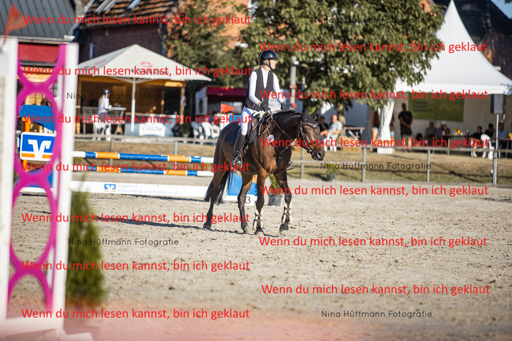BK1A7807 | Turnierbilder Turnierfotos Nina Hüffmann Turnierfotografie Pferdefotografie Tierzeichnung Haustierzeichnung Pferdezeichnung Hundezeichnung Videograf  - Realisiert mit Pictrs.com