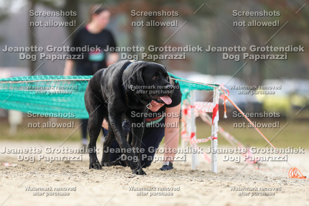 Dog Paparazzi - Strongdog North Mrz26-5189 | Dog Paparazzi Jeanette Grottendiek Fotografie & Videografie - Realisiert mit Pictrs.com