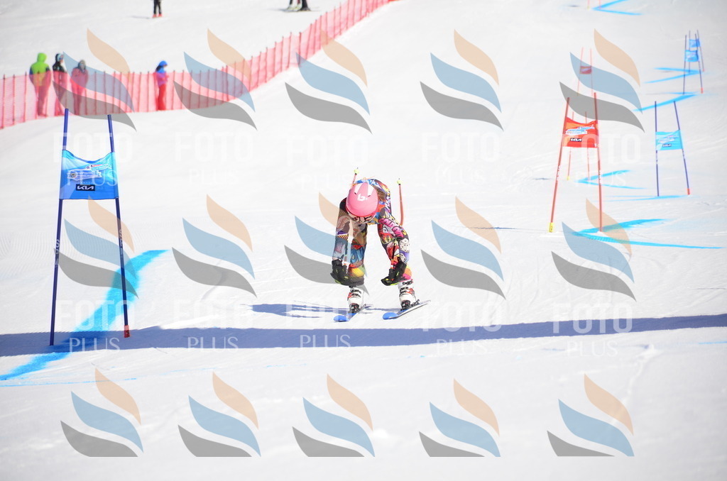 VR4_8701 | holidayphoto