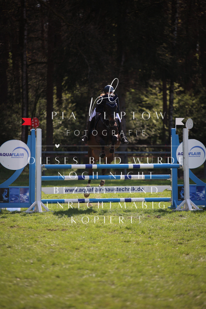 IMGT6032 | pl-fotografie