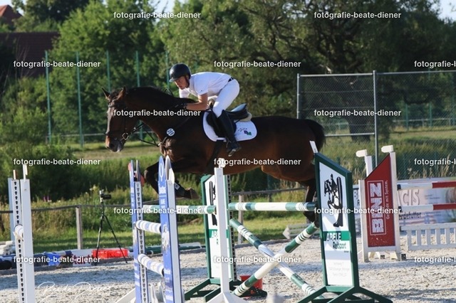 OHT 2022 Röhlingen (197) | Fotografie, Tiere, Hunde, Katzen, Pferde, Sportfotografie, Fotosession, Tierfotografie, Turnierfotografie, Fotografin, Fotograf - Realisiert mit Pictrs.com