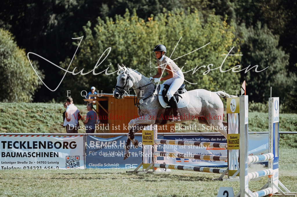 DSC_6868 | Pferde- und Turnierfotografie in Westsachsen. Pferdeportraits, Auftragszeichnungen und intuitive Kunst.