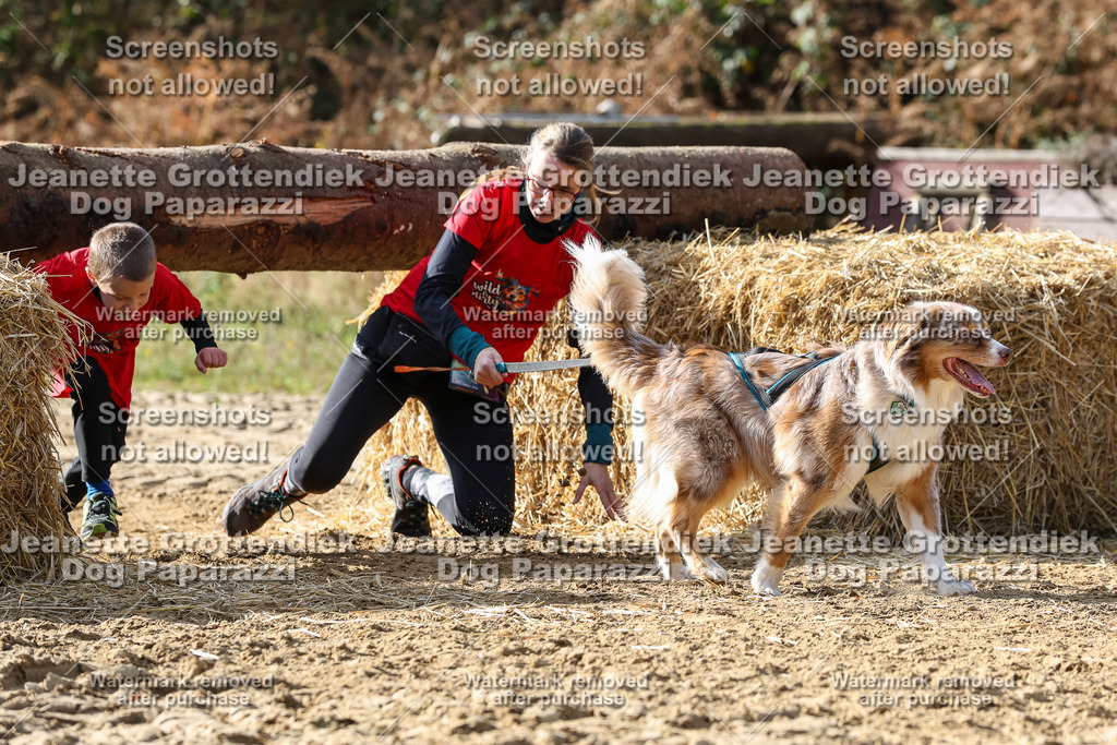 Dog Paparazzi - Strongdog 10-25-5728 | Dog Paparazzi Jeanette Grottendiek Fotografie & Videografie - Realisiert mit Pictrs.com