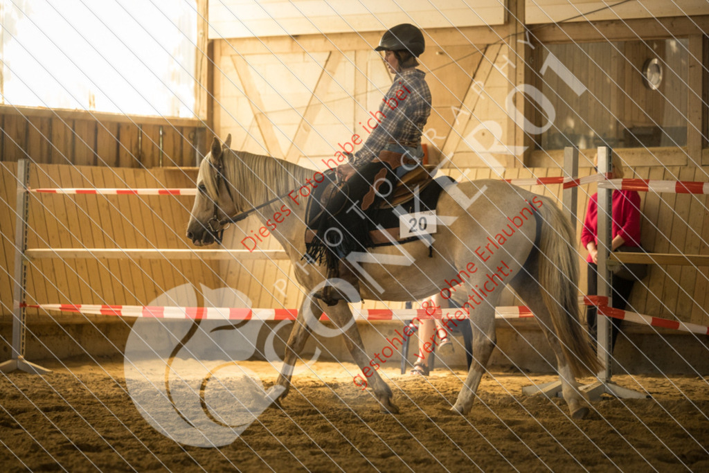 IMG_1783 | Sport-, Event- und Tierfotos in Profiqualität. Einfach auswählen, bestellen und herunterladen. Dein Moment – perfekt festgehalten.
