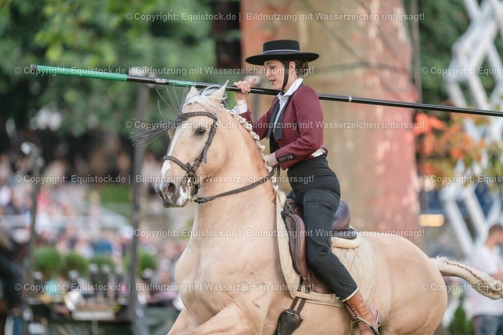 20230526_Pferdenacht_0759 | equistock