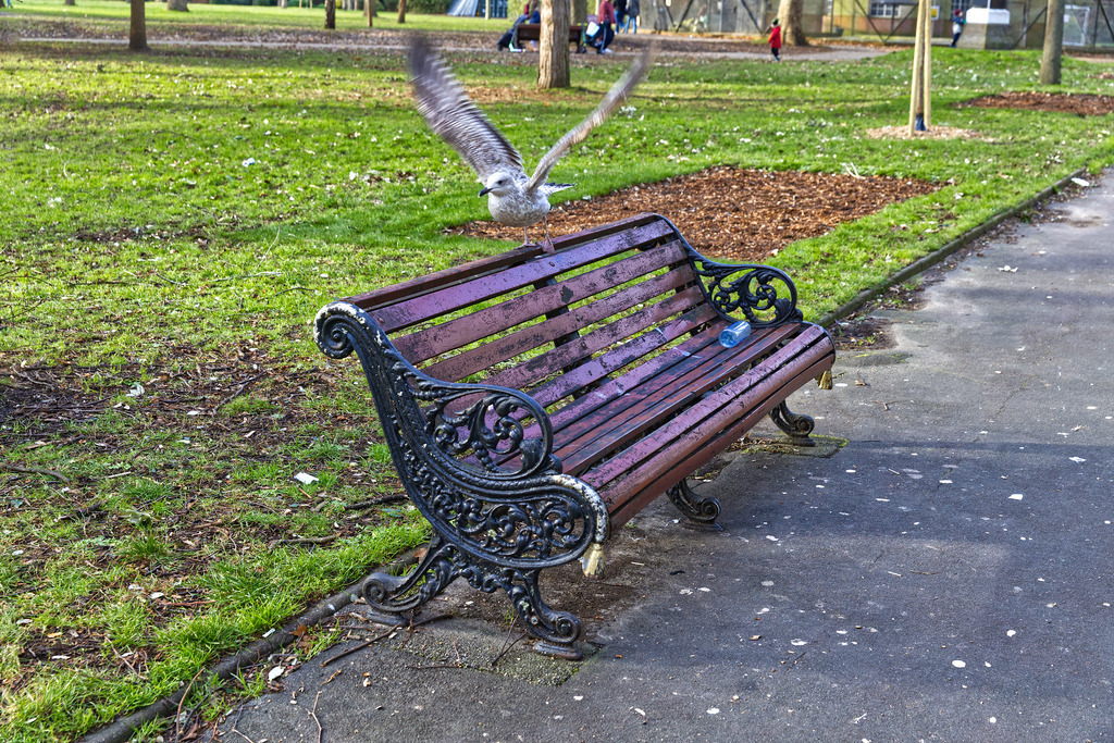 1H5A9503 | ansichtssache