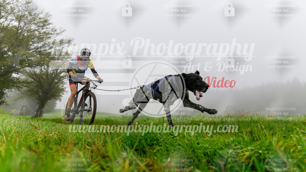 MompixPhotography_20TSB_E5_Bike-55 | PayLife