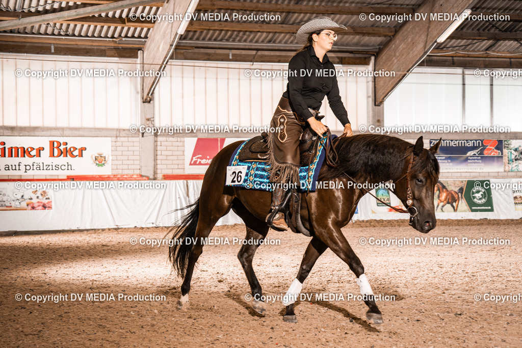 ZH300244 | dv-media-shop - Realisiert mit Pictrs.com