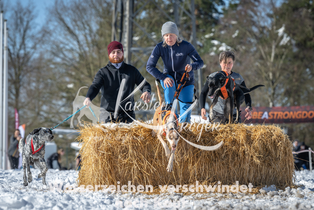 1217_ZZ92239-4 | kk-dogfotos