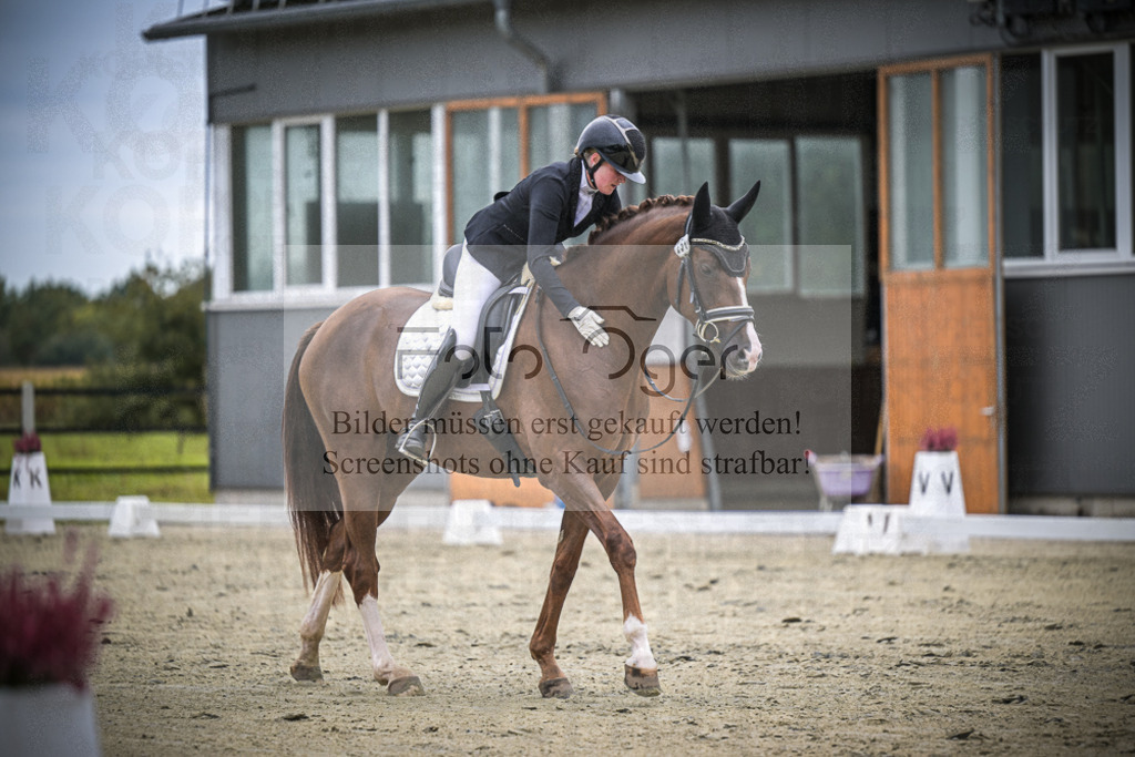 DOS_0935 | Entdecke hochwertige Reitturnierfotos von Foto Oger. Professionell, emotional und authentisch – jetzt Lieblingsmomente im Shop bestellen.Deutschlandweite Turnierfotografie. - Realisiert mit Pictrs.com