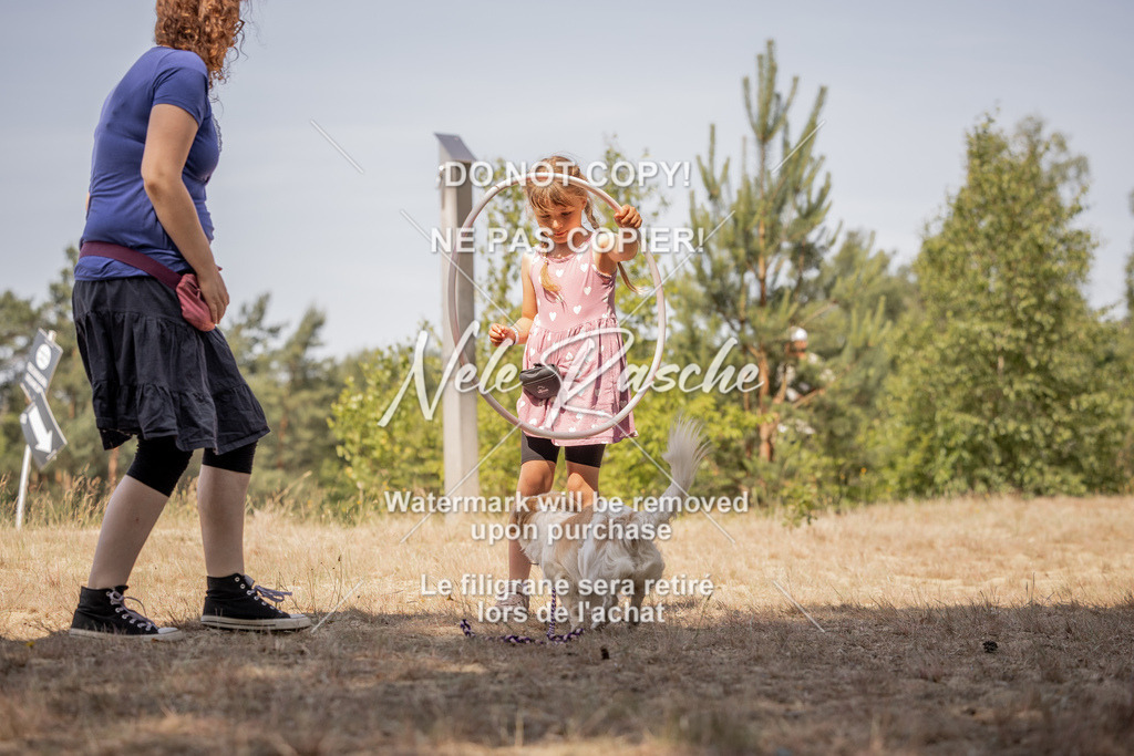 nelerasche_soDD2_306 | nelerasche