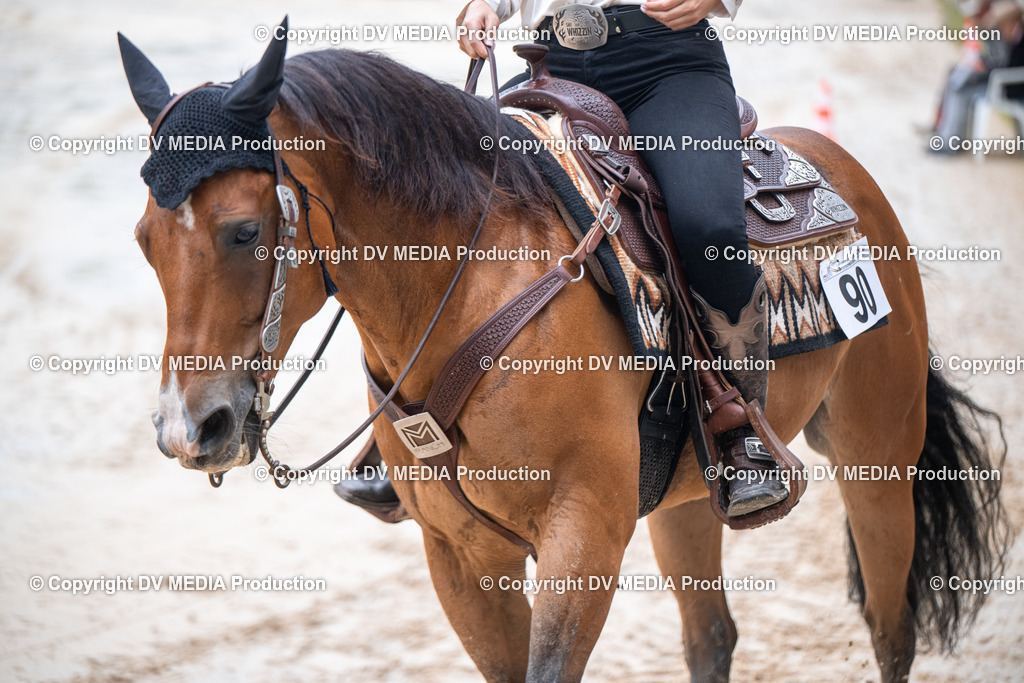 ZS2_4208 | dv-media-shop - Realisiert mit Pictrs.com