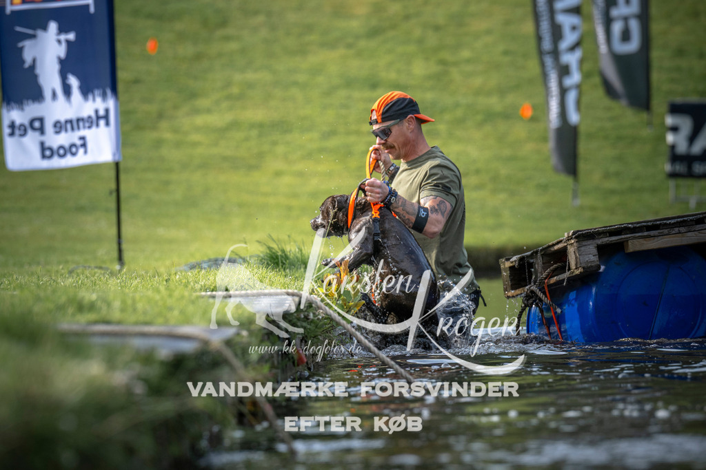 _ZZ934050704 | kk-dogfotos